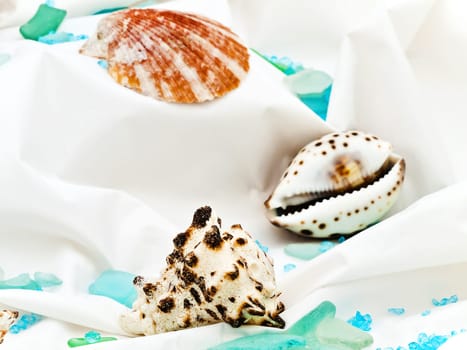 Marine Decor With Sea Shells, Bucket And Decorative Stones At White