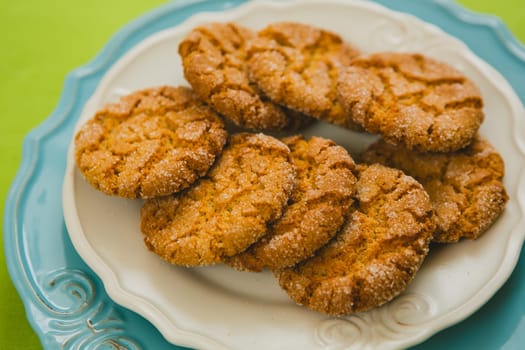 Oatmeal Cookies with Warm Fall Colors. selective focus