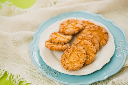 Oatmeal Cookies with Warm Fall Colors. selective focus