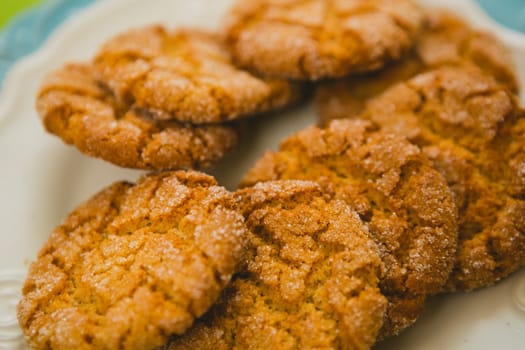 Oatmeal Cookies with Warm Fall Colors. selective focus