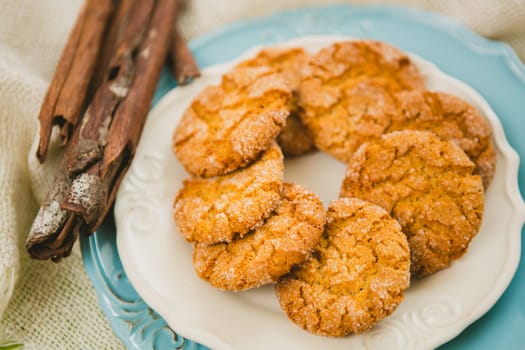 Oatmeal Cookies with Warm Fall Colors. selective focus