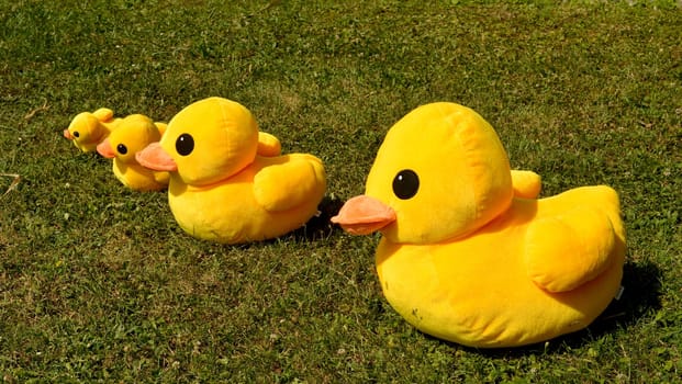 several small plush duck on grass