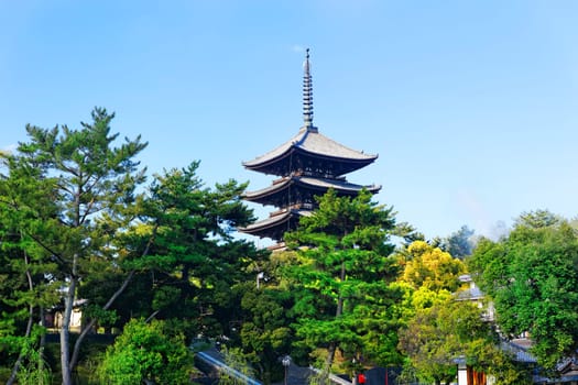wooden tower of To-ji Temple in Nara Japan is the largest temple pagoda in the country at a height of 54.8 meters.