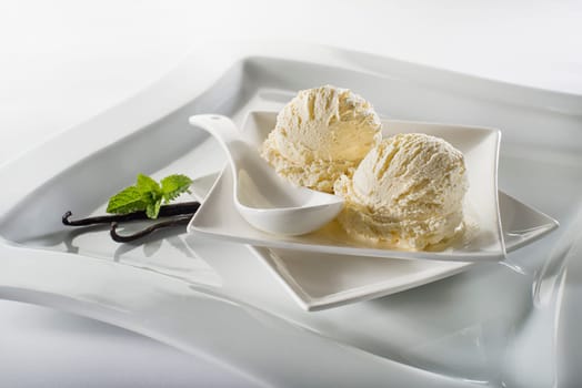 Fresh vanilla ice cream in a plate close up shoot