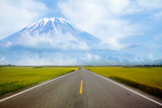 The Rice paddy has pathway with mountain background