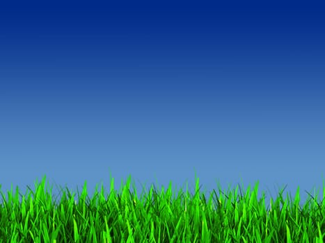 green grass iand blue sky