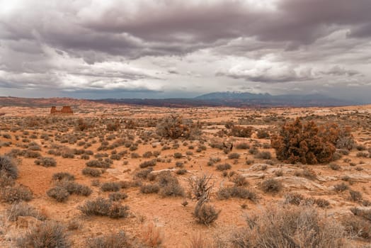 Landscape a look on the rocks of the Arches National Park. It's home to over 2,000 natural sandstone arches. In addition to a variety of unique geological resources and formations.