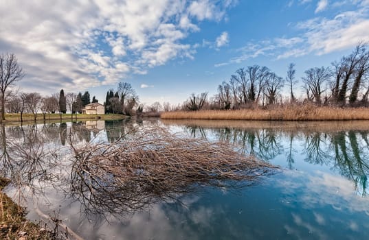 Rural landscape. Lake with trees reed and reflection on water.