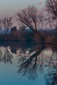 Sunset on the river with tree and reflections on the water.