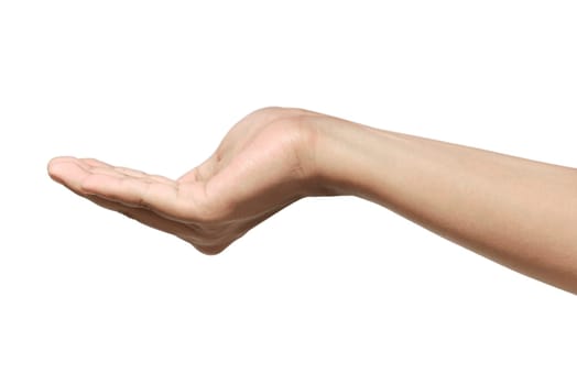 Image of human hand show something isolated over white background