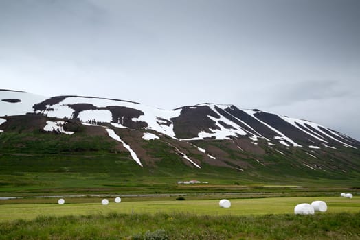 Large field with hay wrapped in protective plastic in Iceland