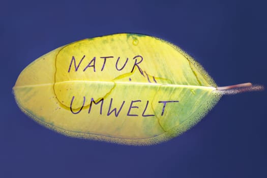 A healthy nature and environment is important for people,animals and plants. Environmental protection,nature conservation and climate protection