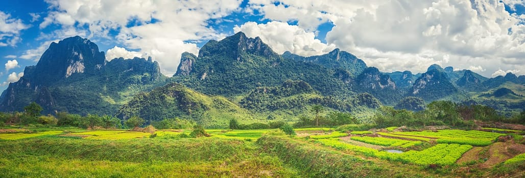Fields and mountains. Beautiful rural landscape. Vang Vieng, Laos. Panorama