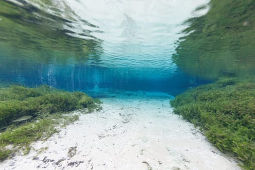 divers underwater caves diving Ginnie Springs Florida USA