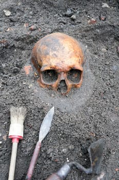 Archaeological excavation with skull still half buried in the ground and tools lying beside