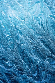 Iceflowers, frozen.The ice-cold frost forms ice crystals in beautiful unique patterns