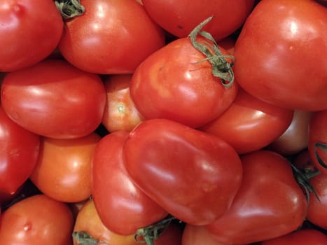 tomatoes