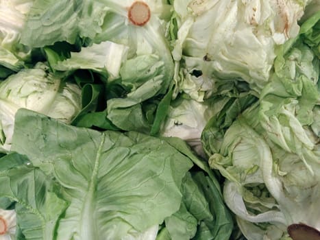 salad