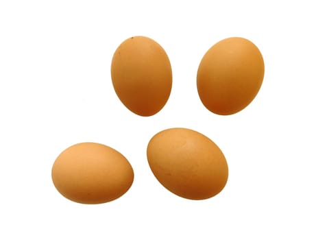 eggs