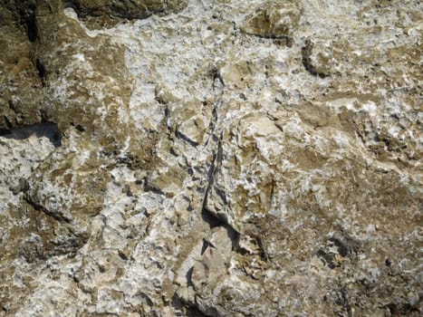 stone texture