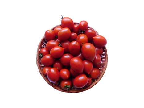 tomatoes