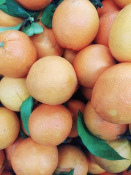 oranges