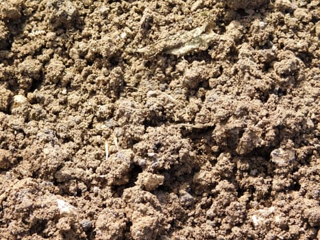 earth texture