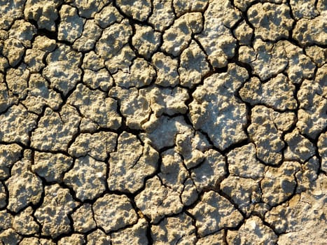 dry land texture