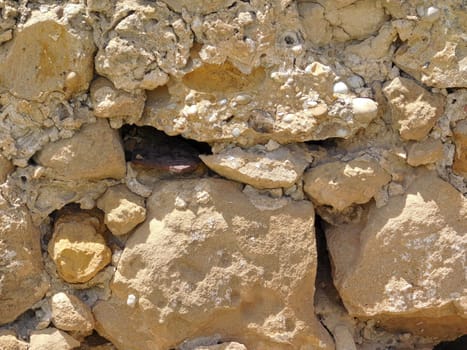 stone texture