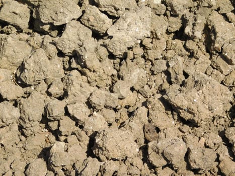 earth texture