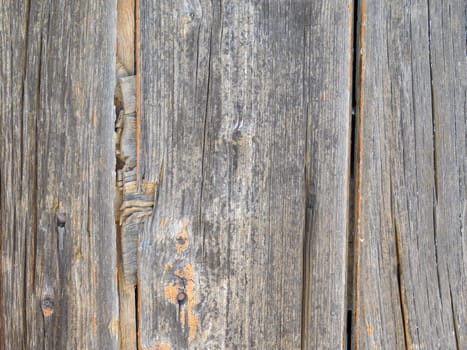 wood texture