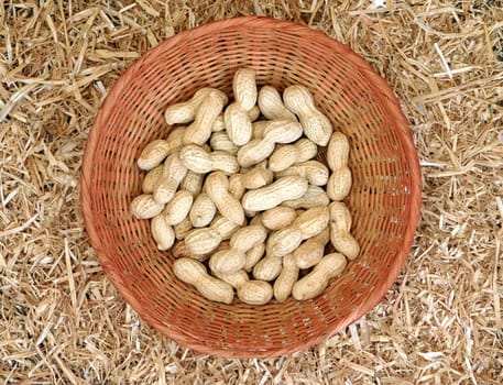 peanuts
