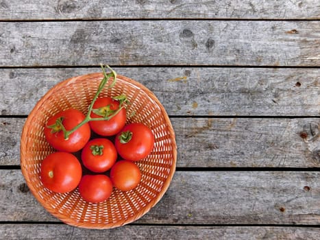 tomatoes