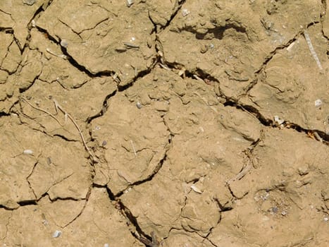 dry land texture