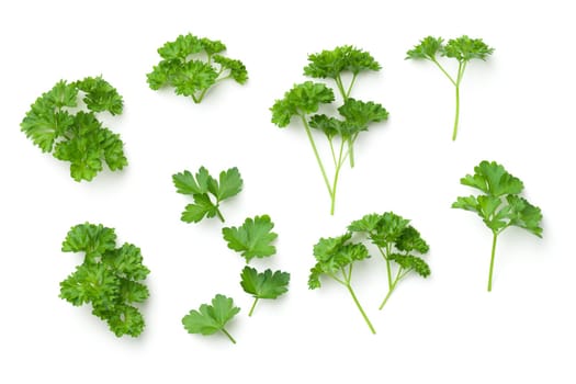 Leaves of parsley isolated on white background. Top view