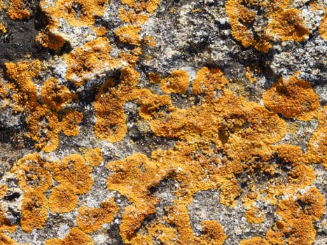 stone texture