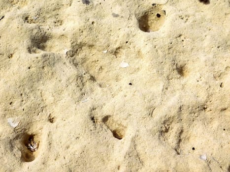 stone texture