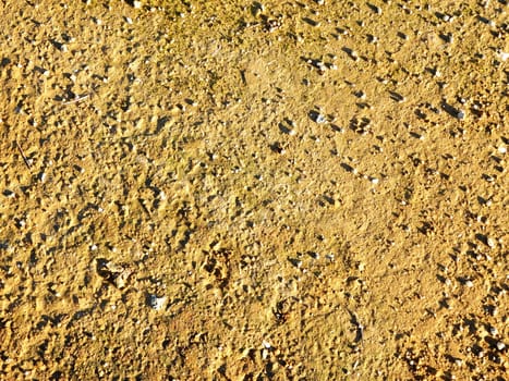 sand texture