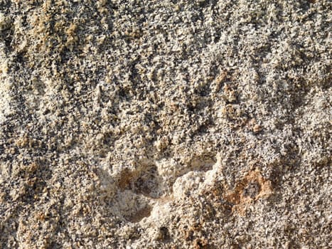 stone texture