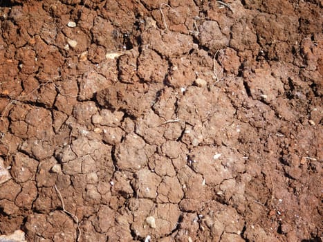 dry land texture