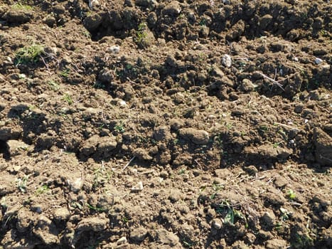 earth texture
