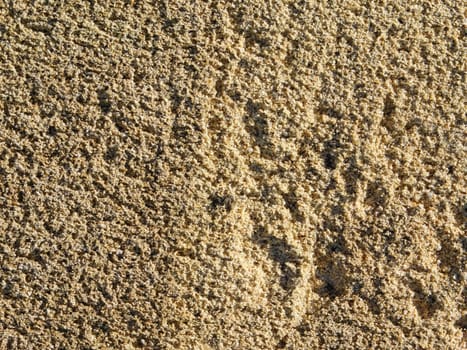 stone texture