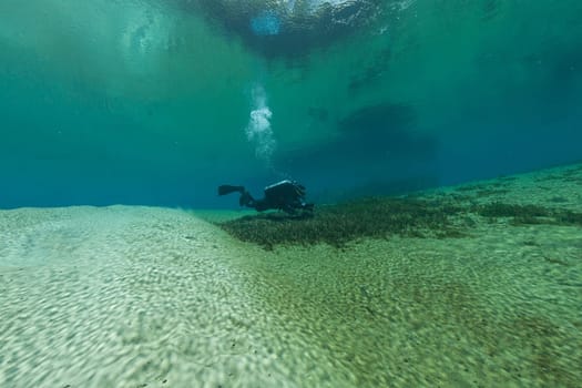 divers underwater caves diving Florida Jackson Blue cave USA