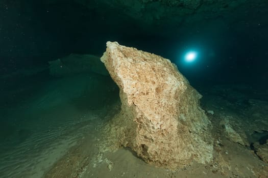 divers underwater caves diving Florida Jackson Blue cave USA