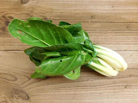 vegetable