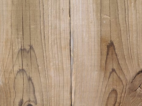wood texture