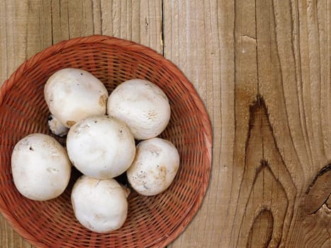 mushrooms