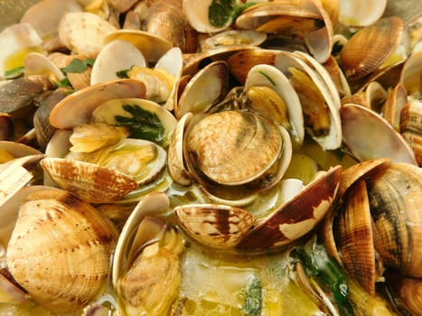 clam texture