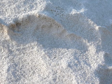 salt texture