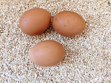 eggs